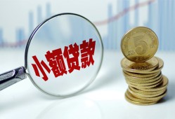 东莞私人哪里可以小额贷款-东莞私人哪里有民间借贷-东莞私人民间短期私借借款